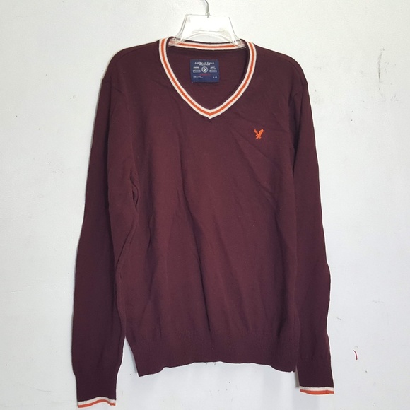 American Eagle Outfitters Other - American Eagle Outfitters vneck sweater